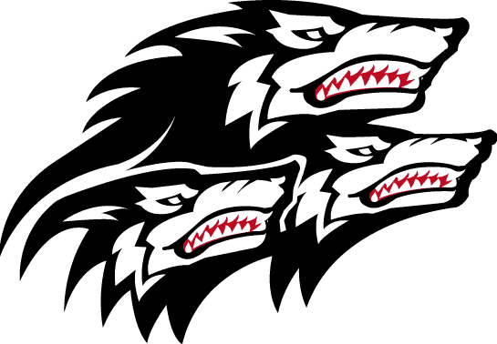 North Carolina State Wolfpack 1999-2005 Alternate Logo diy DTF decal sticker